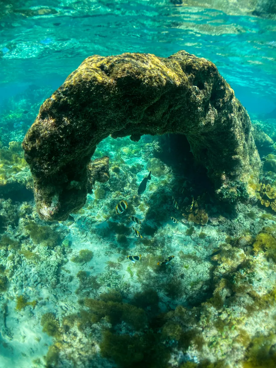 A coral arch on a turquoise reef