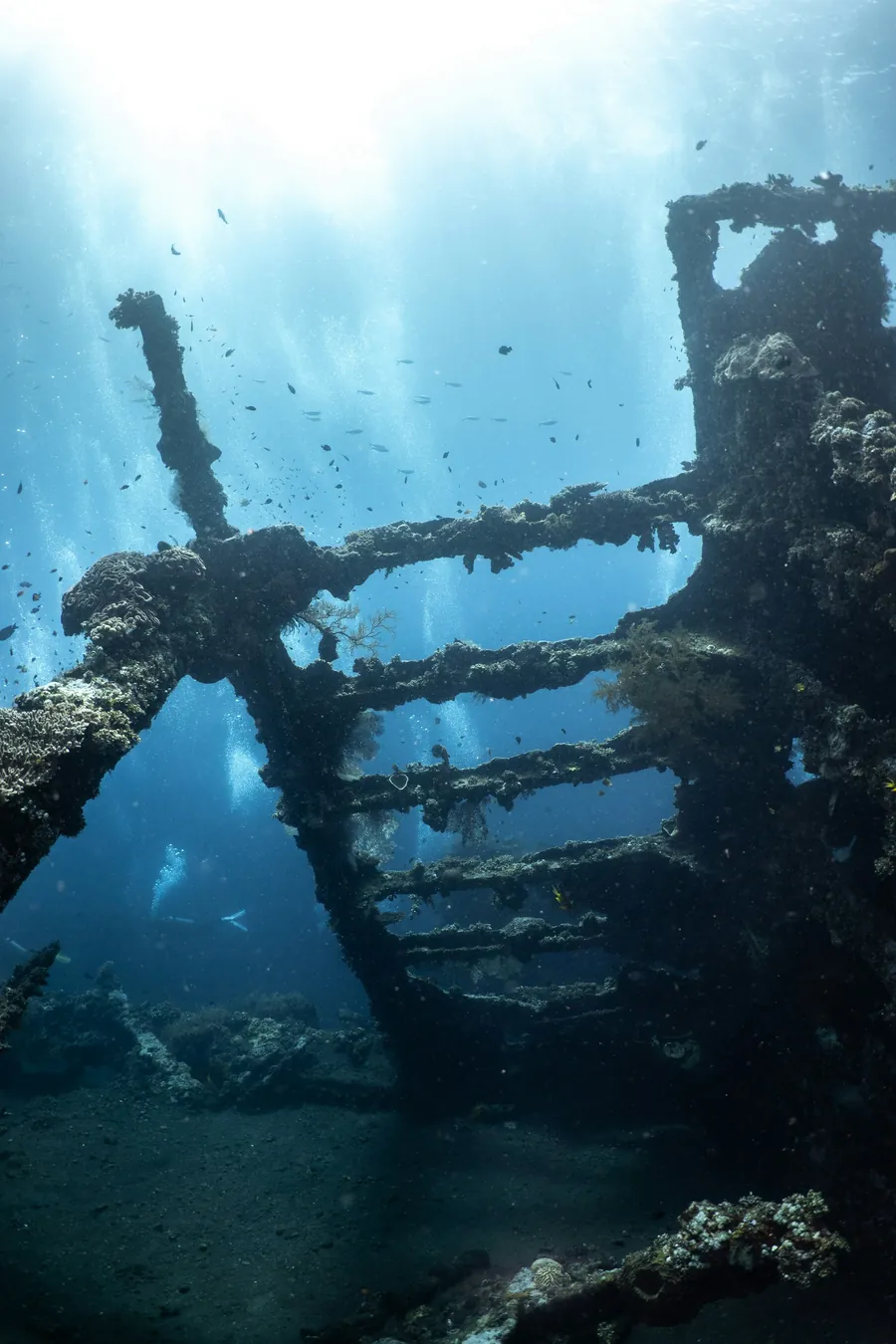 The broken frame of a shipwreck under shafts of light