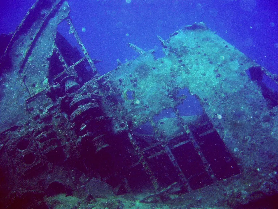A shipwreck covered in marine growth